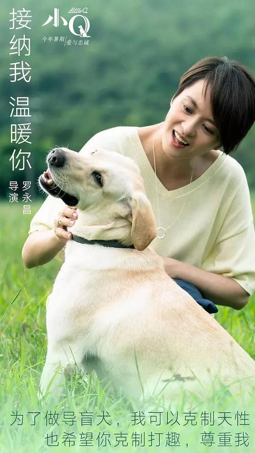 日本中京学院大学学历认证